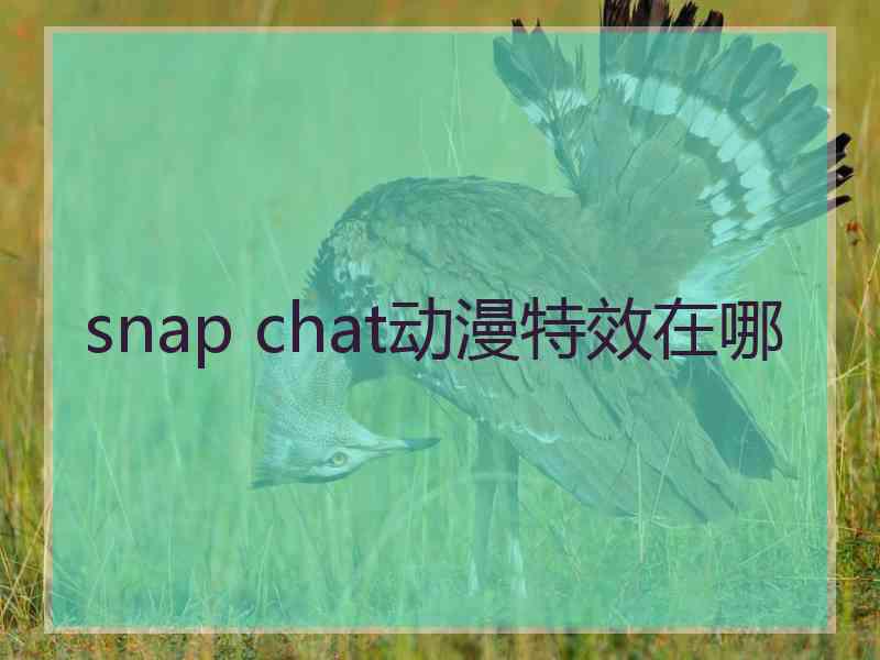 snap chat动漫特效在哪