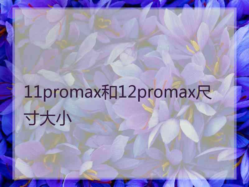 11promax和12promax尺寸大小