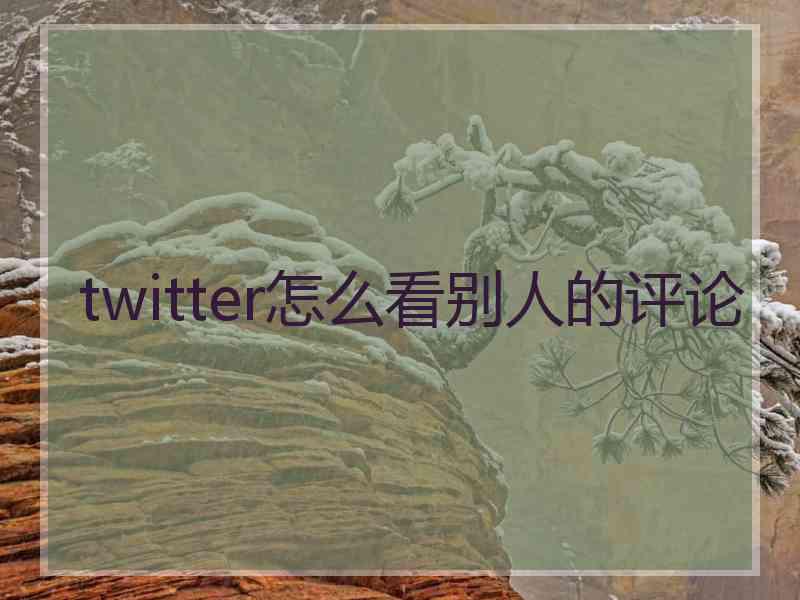 twitter怎么看别人的评论