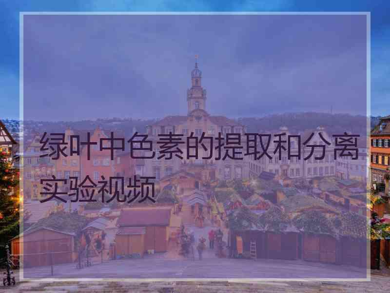 绿叶中色素的提取和分离实验视频