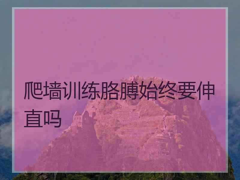 爬墙训练胳膊始终要伸直吗