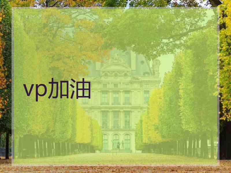 vp加油