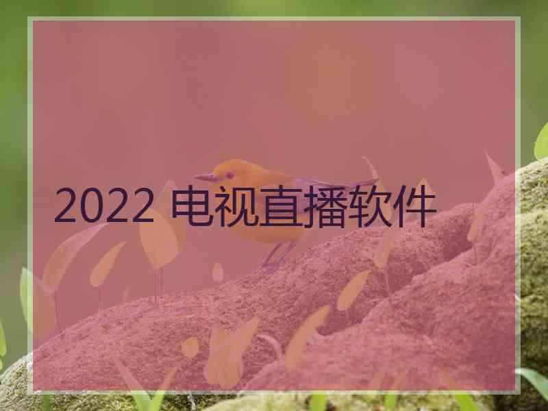 2022 电视直播软件