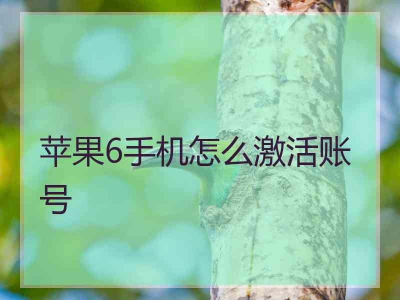 苹果6手机怎么激活账号