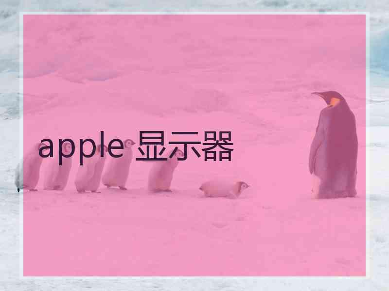 apple 显示器