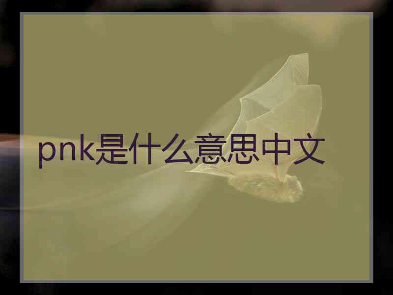 pnk是什么意思中文