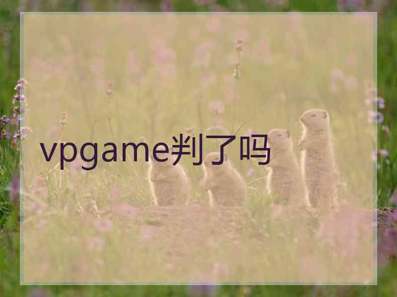 vpgame判了吗