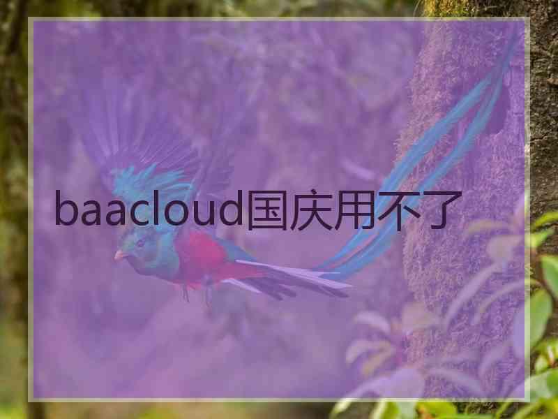 baacloud国庆用不了