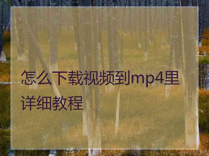 怎么下载视频到mp4里详细教程