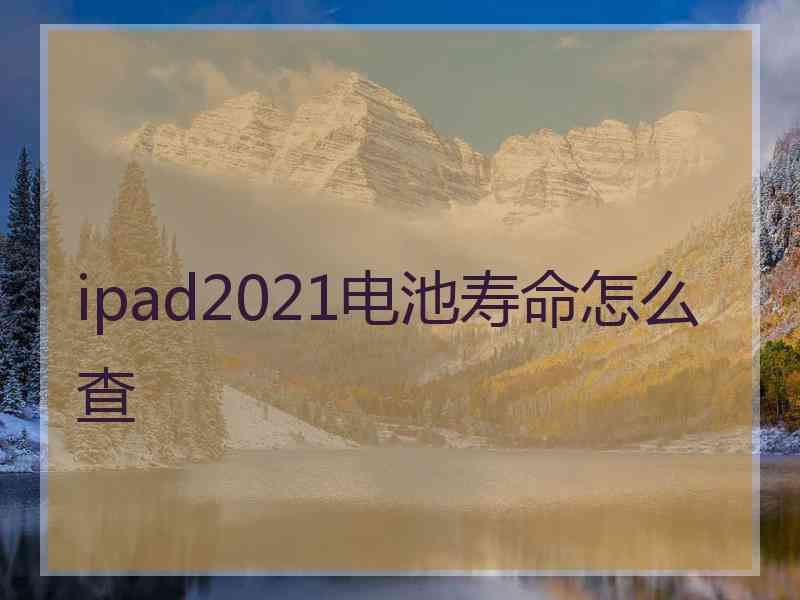 ipad2021电池寿命怎么查