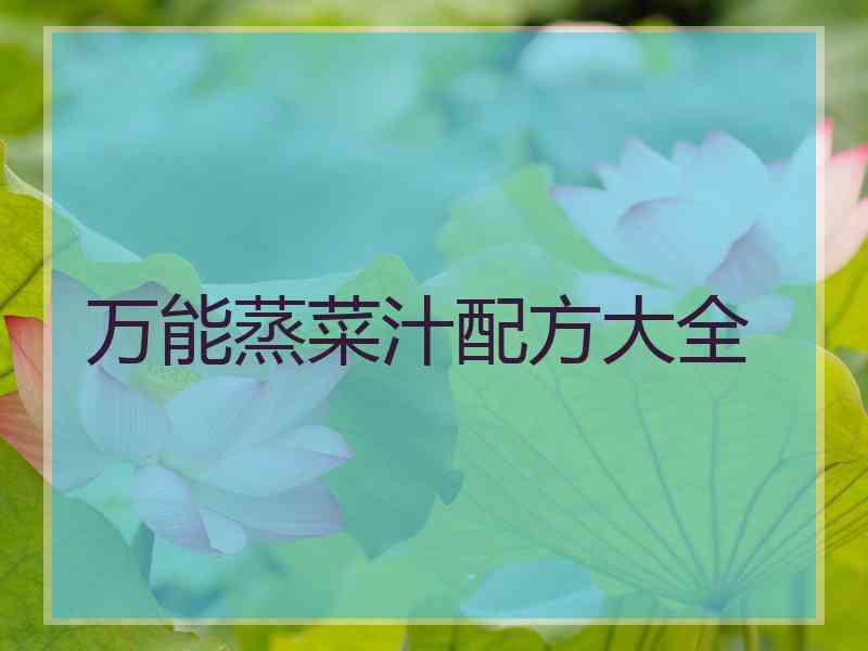 万能蒸菜汁配方大全