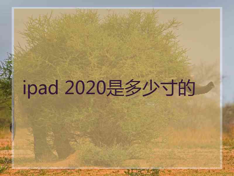 ipad 2020是多少寸的