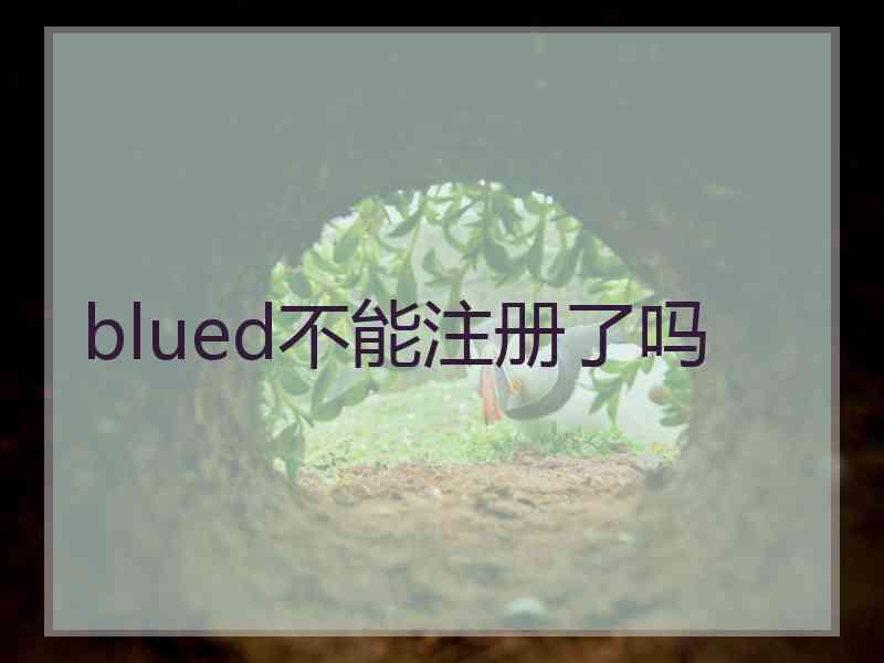 blued不能注册了吗