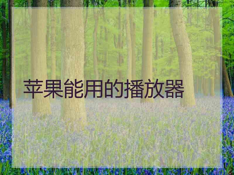 苹果能用的播放器