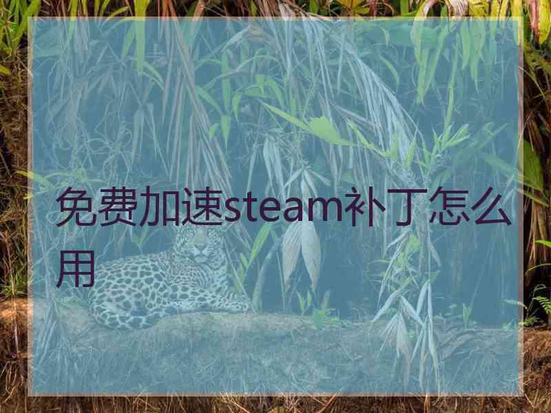 免费加速steam补丁怎么用