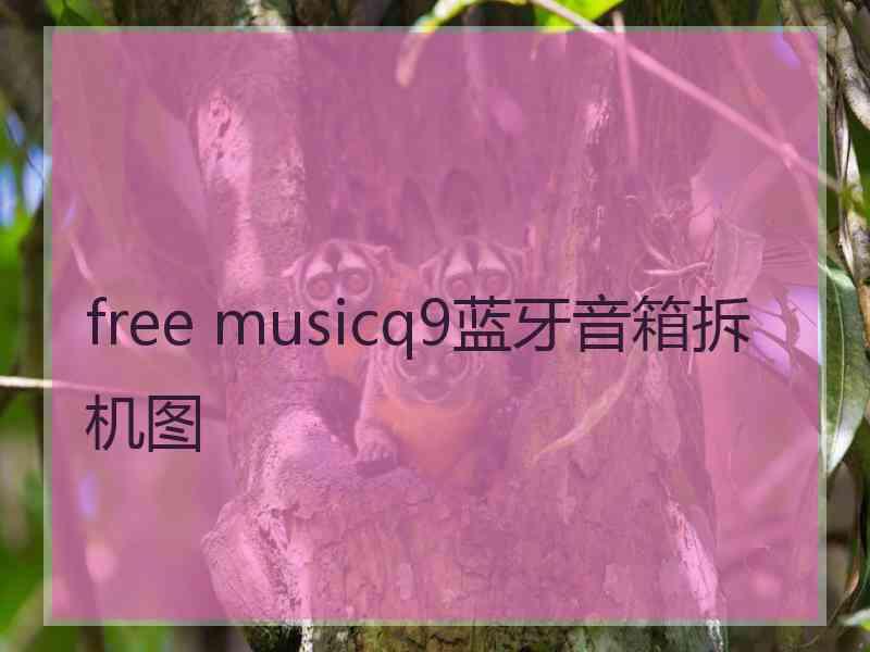 free musicq9蓝牙音箱拆机图