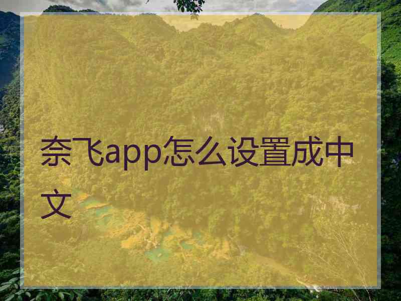 奈飞app怎么设置成中文