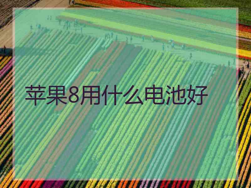 苹果8用什么电池好