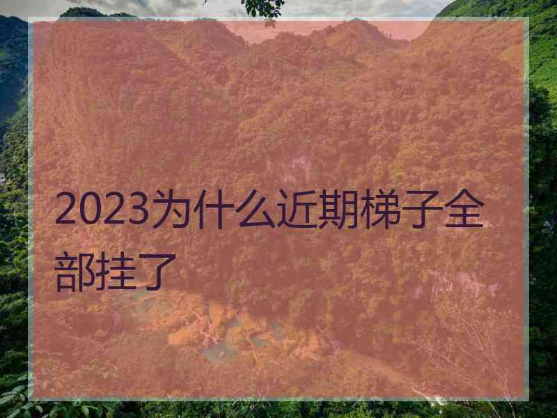 2023为什么近期梯子全部挂了