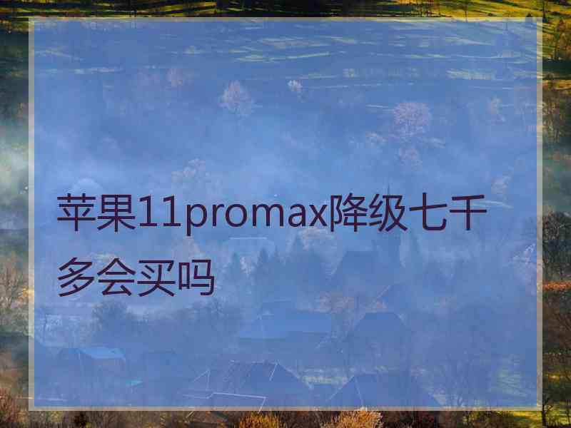 苹果11promax降级七千多会买吗