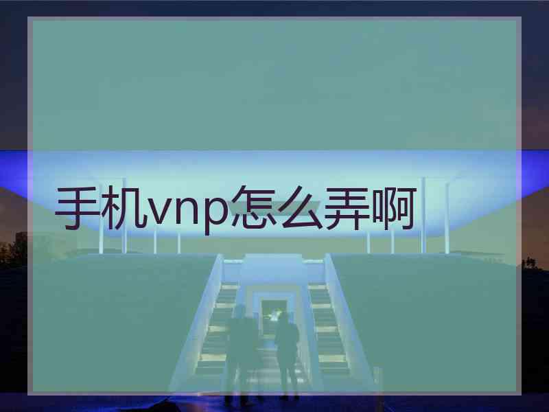 手机vnp怎么弄啊