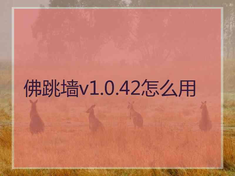 佛跳墙v1.0.42怎么用