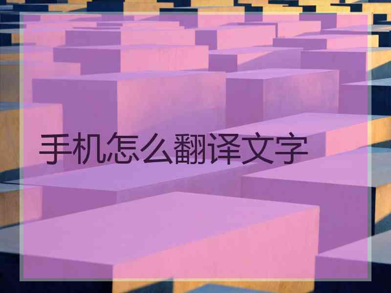 手机怎么翻译文字