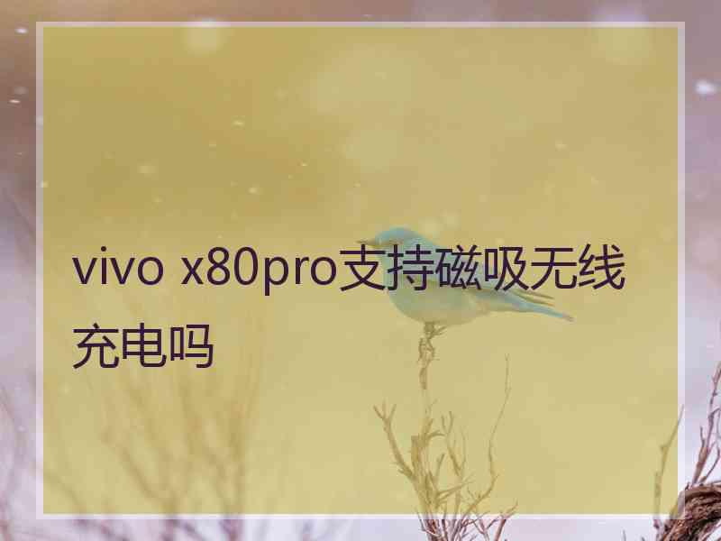 vivo x80pro支持磁吸无线充电吗