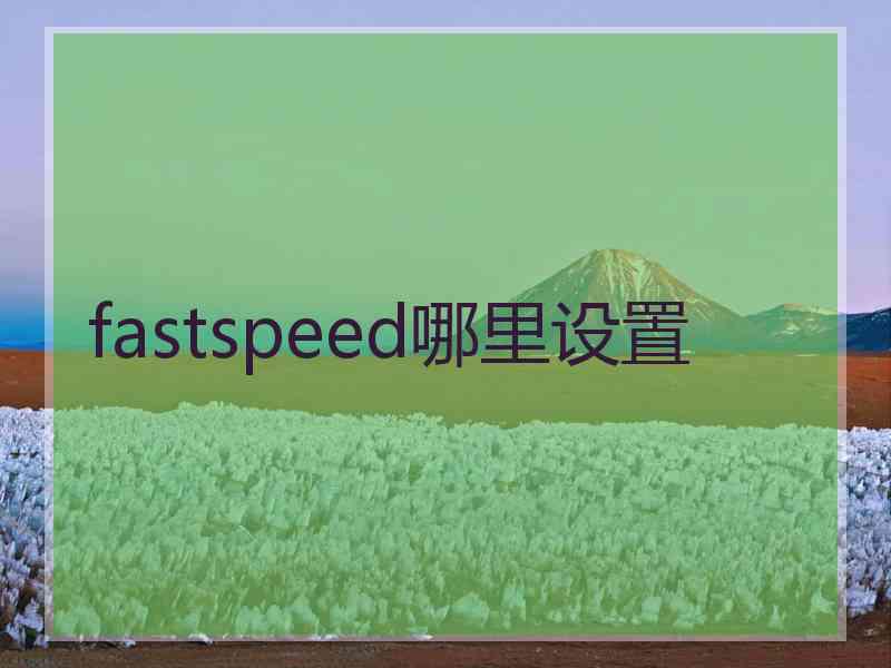 fastspeed哪里设置