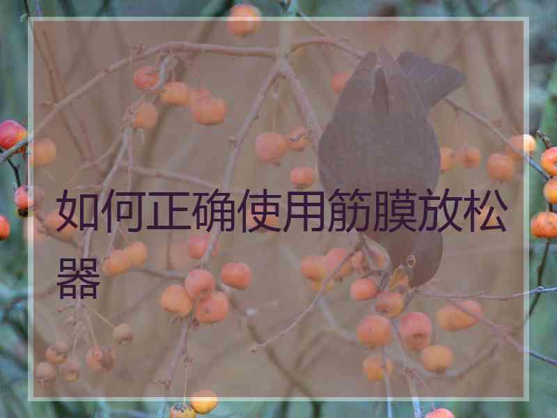 如何正确使用筋膜放松器