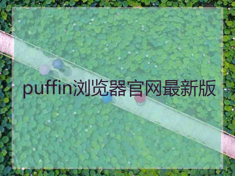 puffin浏览器官网最新版