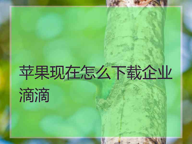 苹果现在怎么下载企业滴滴