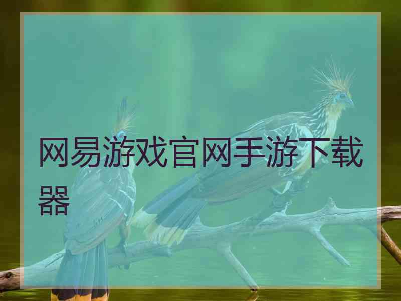 网易游戏官网手游下载器