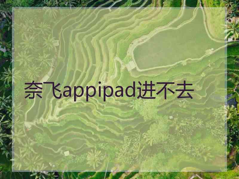 奈飞appipad进不去