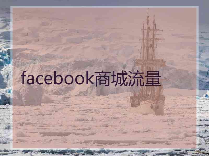 facebook商城流量