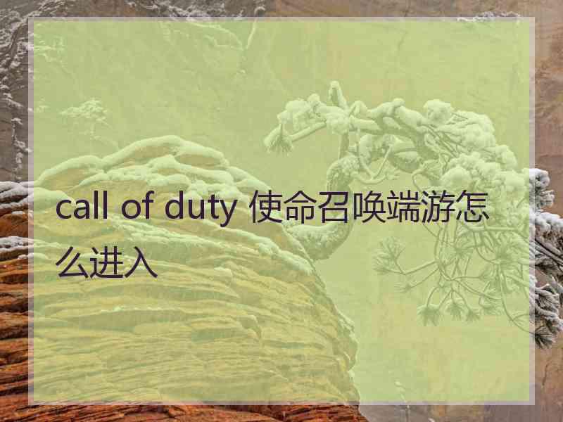 call of duty 使命召唤端游怎么进入