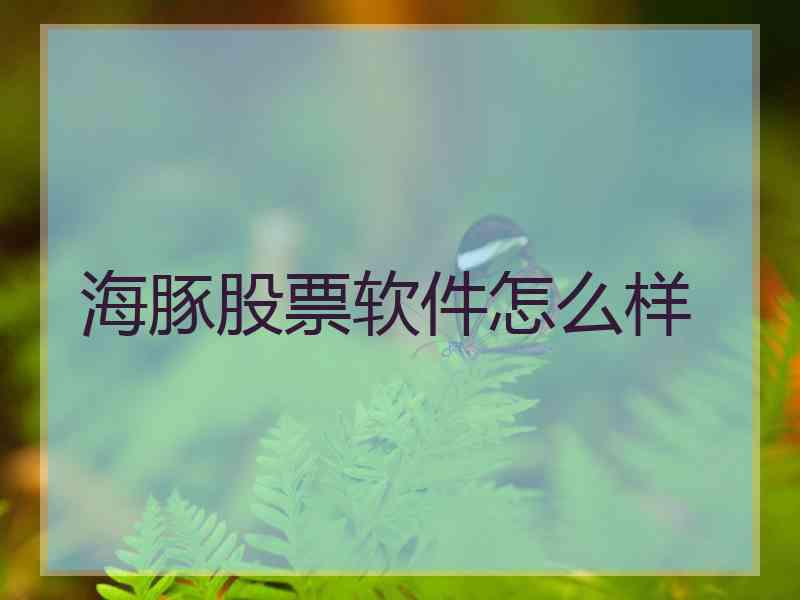 海豚股票软件怎么样