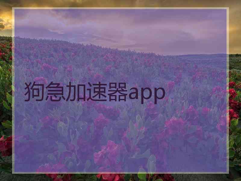 狗急加速器app