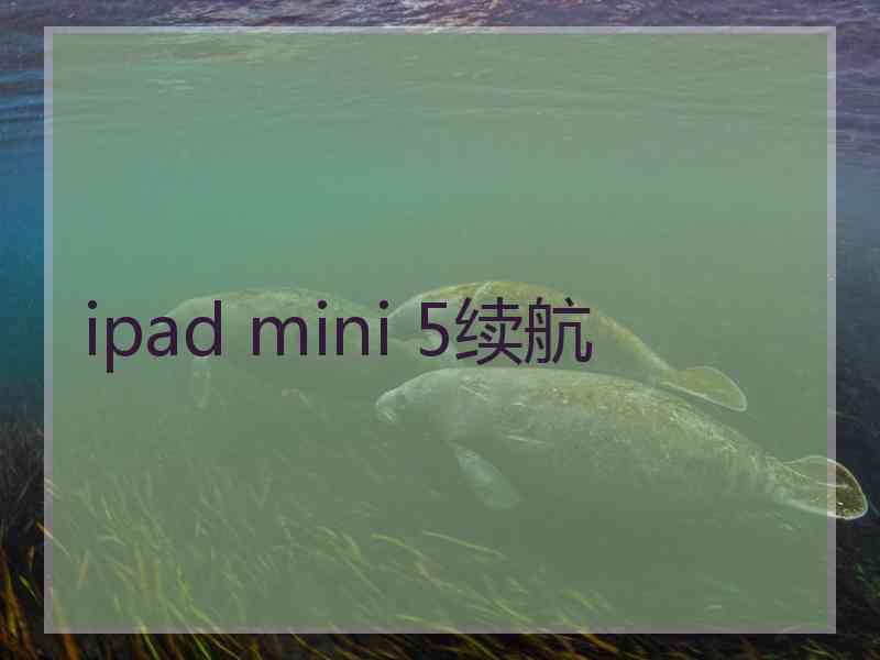 ipad mini 5续航