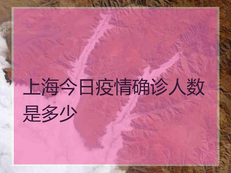 上海今日疫情确诊人数是多少