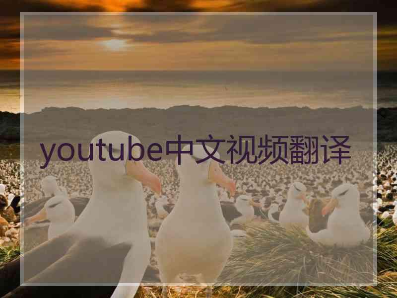 youtube中文视频翻译