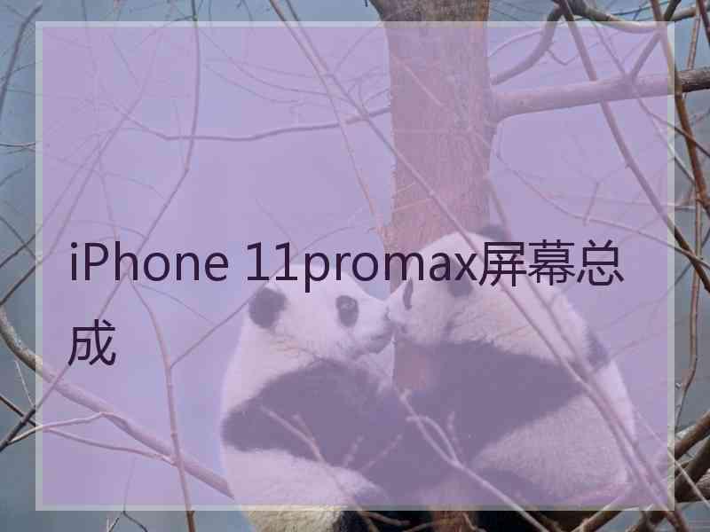 iPhone 11promax屏幕总成