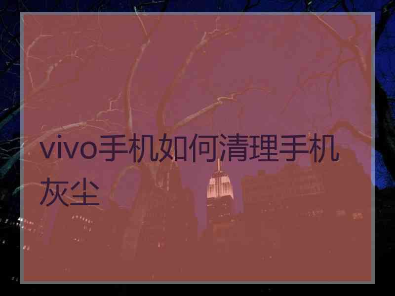 vivo手机如何清理手机灰尘