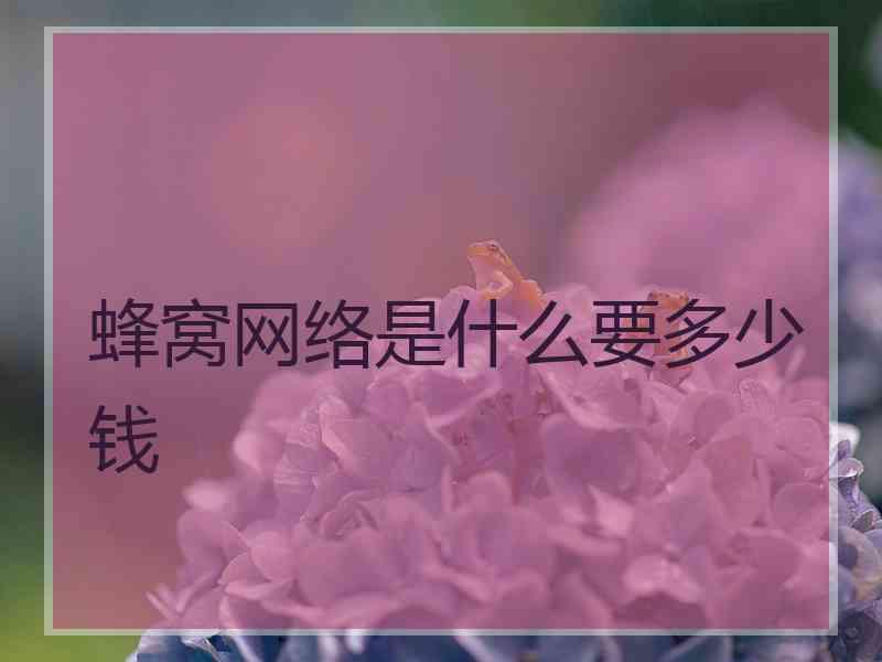 蜂窝网络是什么要多少钱