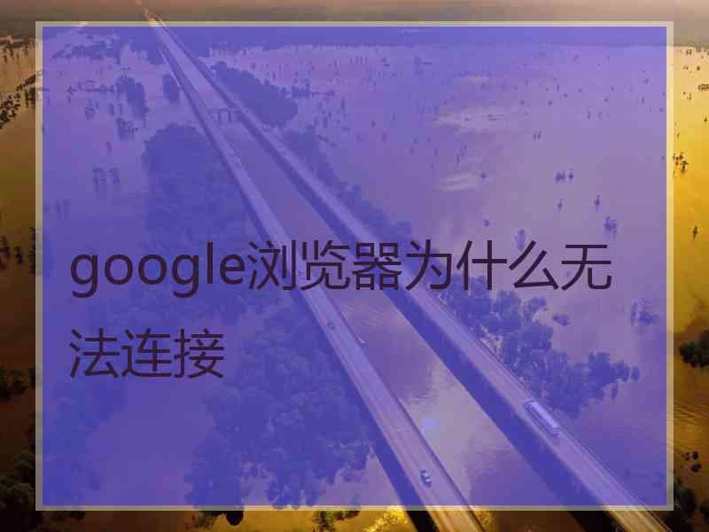 google浏览器为什么无法连接