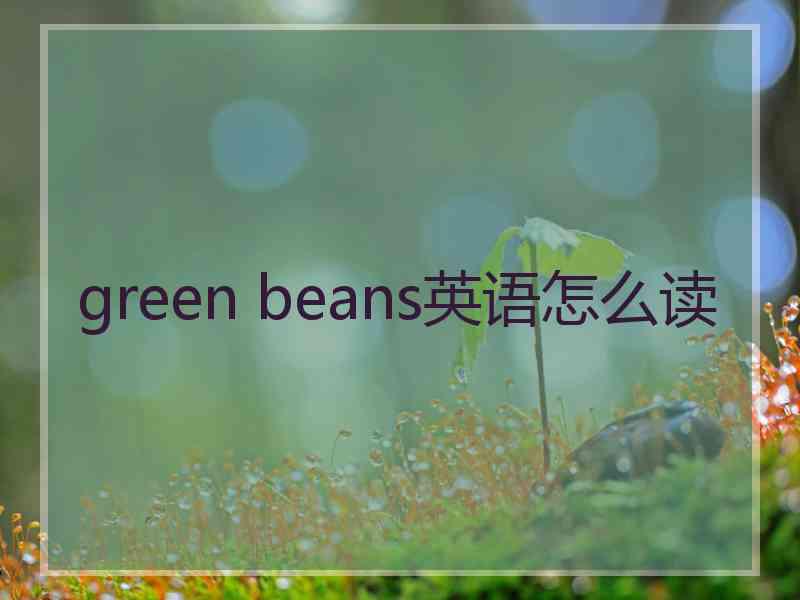 green beans英语怎么读