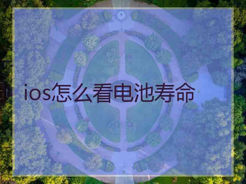 ios怎么看电池寿命