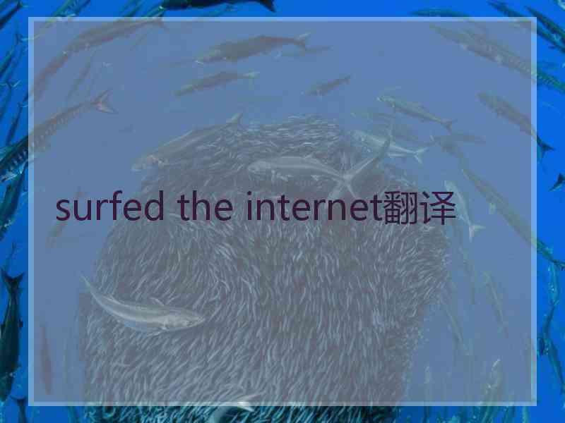 surfed the internet翻译