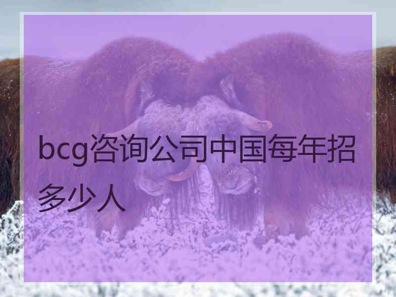 bcg咨询公司中国每年招多少人