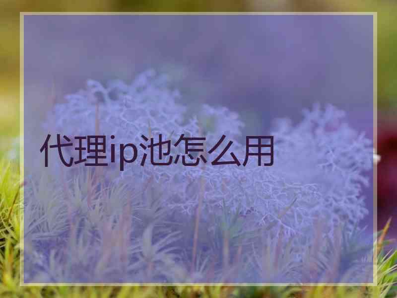 代理ip池怎么用